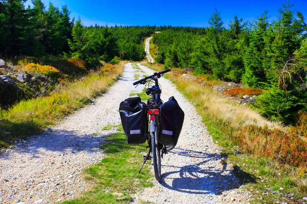 Горный Пейзаж Велосипедной Дорожки Горному Лесу — стоковое фото