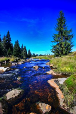 Polonya ve Czech 'teki manzaralı dağ vadisi, izera veya jizera dağları, yürüyüş, bisiklet ve kış sporları için cazip bir yerdir.