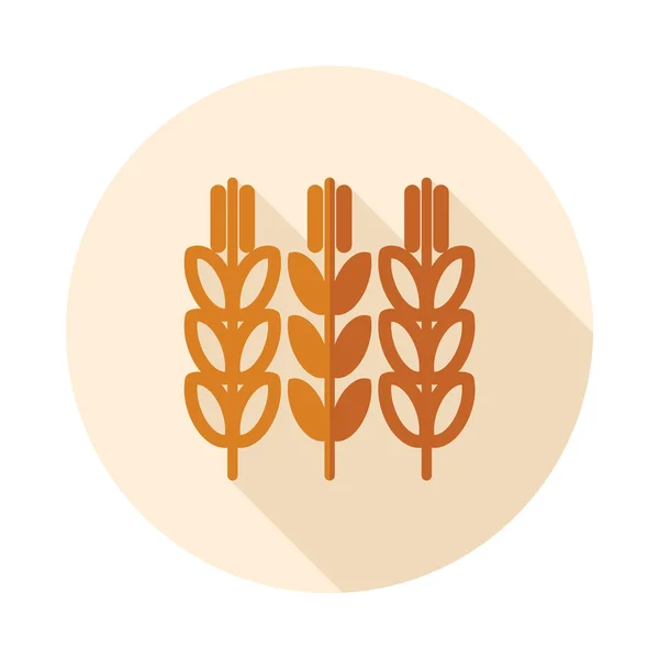 Колоски Зерна Пшеничної Ікони Знак Сільського Господарства Символ Графіку Дизайну — стоковий вектор