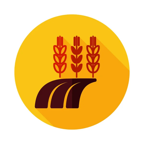 Ears Wheat Barley Rye Field Icon Agriculture Sign Graph Symbol — Stock Vector