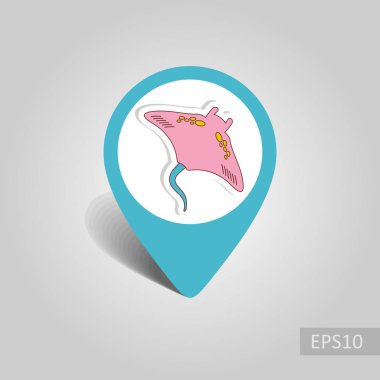 Rampa balık PIN harita simge vektör. Harita-Beach işaretçi. Yaz harita işaretleri. Yaz. Tatil, eps 10