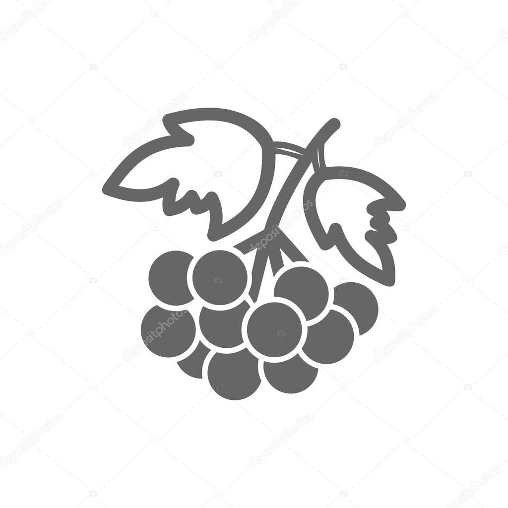 Rowan branch outline icon. Rowan berry fruit sign