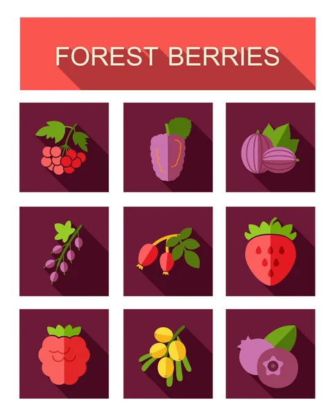 Juego de iconos de bayas forestales — Vector de stock