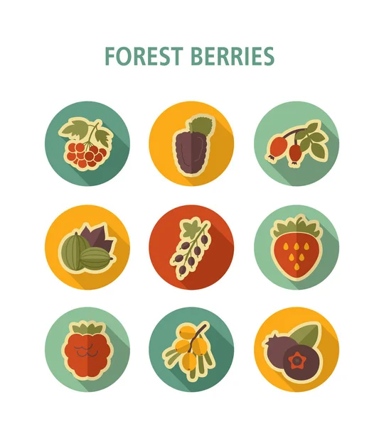 Набор иконок лесных ягод — стоковый вектор