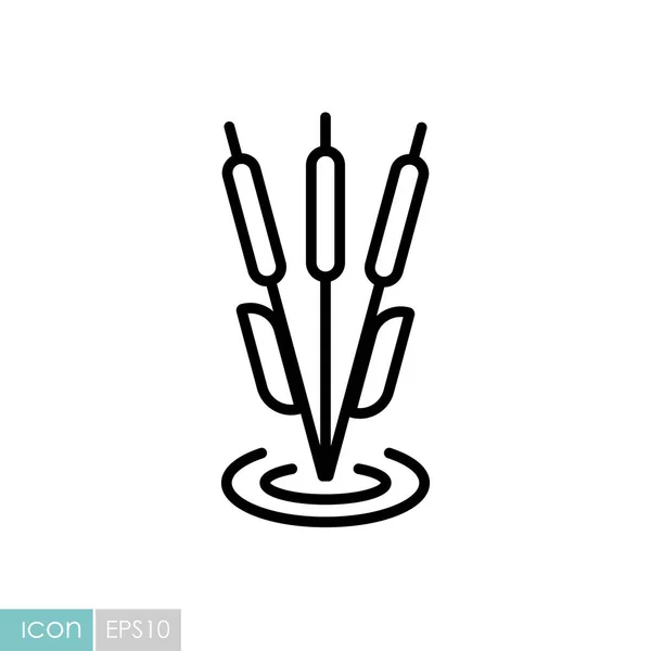 Cañas Icono Vector Planta Signo Naturaleza Símbolo Gráfico Para Viajes — Vector de stock