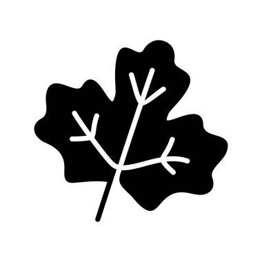 Sonbaharın güzelliğini temsil eden görünür damarları olan bir akçaağaç yaprağının basit siyah ve beyaz vektör silüeti. Bu simge Şükran Günü, mevsimlik tasarımlar ve doğa temalı projeler için mükemmel..