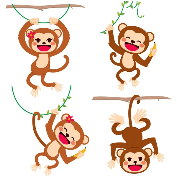 Mignon Jeu Drôle Singes Plying Accroché Sur Les Branches Les — Image vectorielle