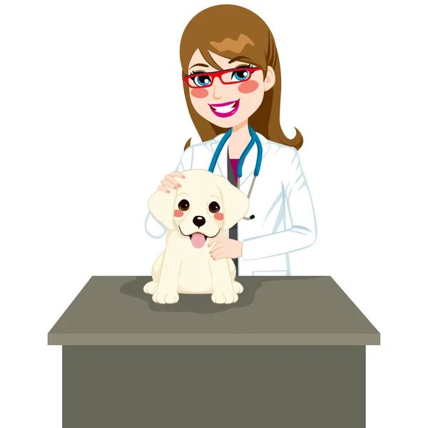 Puppy Visiting Veterinarian — Stock Vector