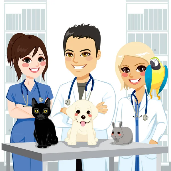 Veterinário Equipe Animais de estimação —  Vetores de Stock