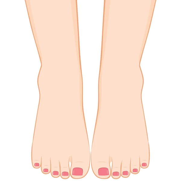 Pedicure Feet — Stock Vector