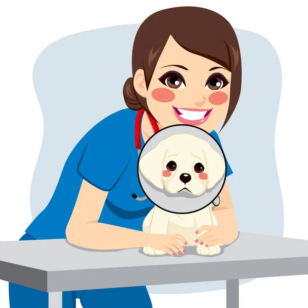 Collar de perro veterinario — Vector de stock