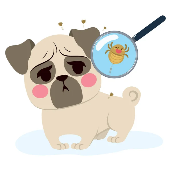 Σκύλος παράσιτο λοίμωξη — Διανυσματικό Αρχείο