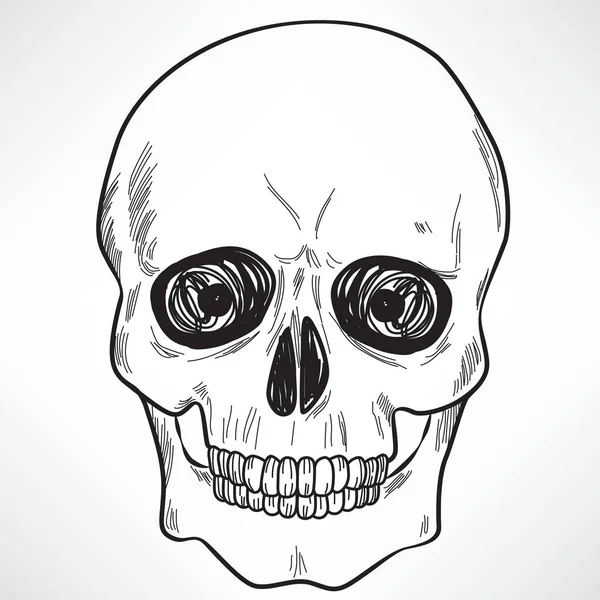 Menselijke schedel — Stockvector