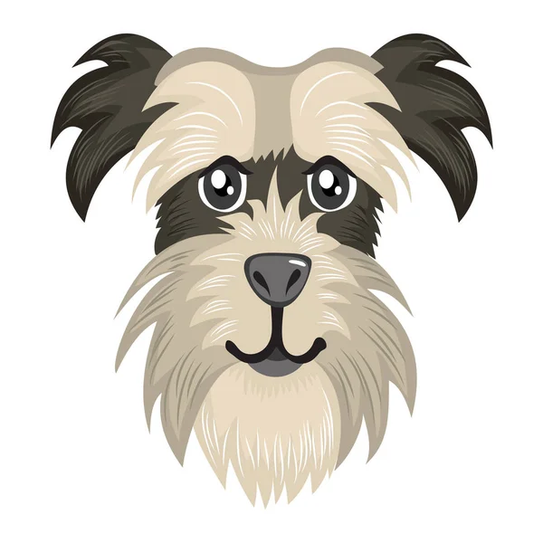 Retrato de Avatar Schnauzer —  Vetores de Stock