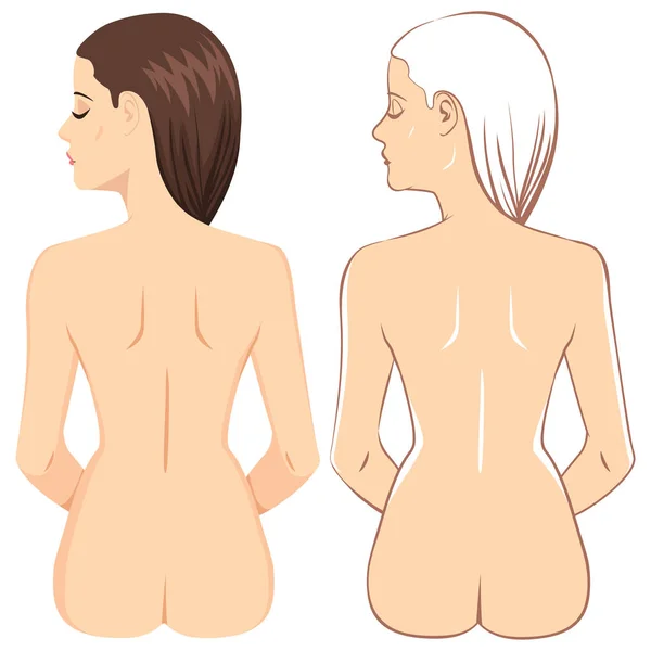 裸体背女人 — 图库矢量图片