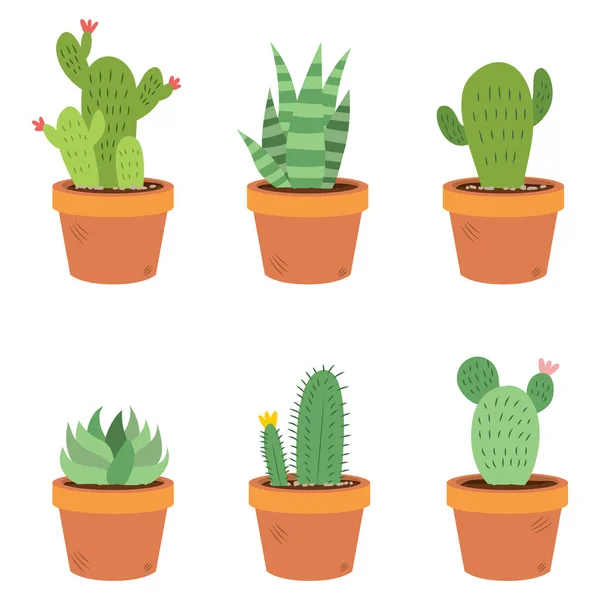Cactus set collectie — Stockvector