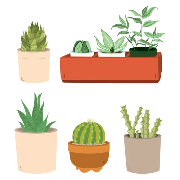 Cactus In potten Set — Stockvector