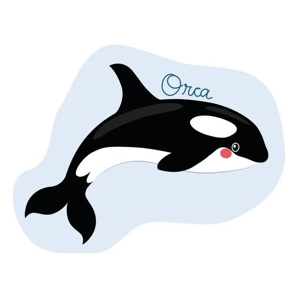 Vicces gyilkos bálna Orca — Stock Vector