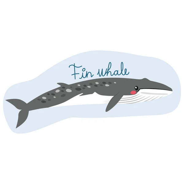 Baleia-comum — Vetor de Stock