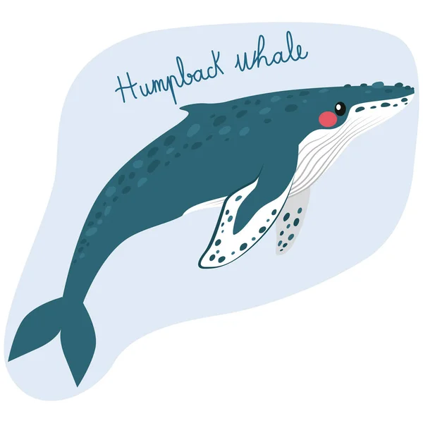 Grande baleia jubarte — Vetor de Stock