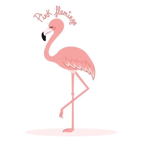 Pembe flamingo — Stok Vektör