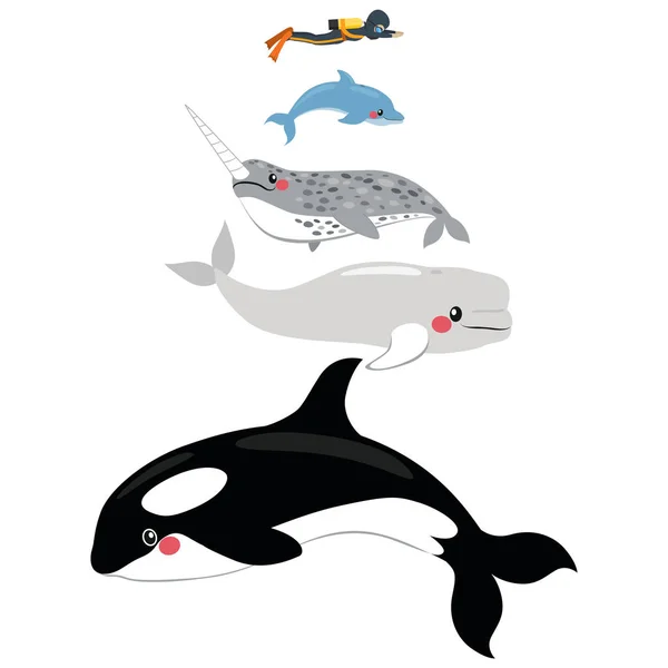 Morskie ssak Skala — Wektor stockowy