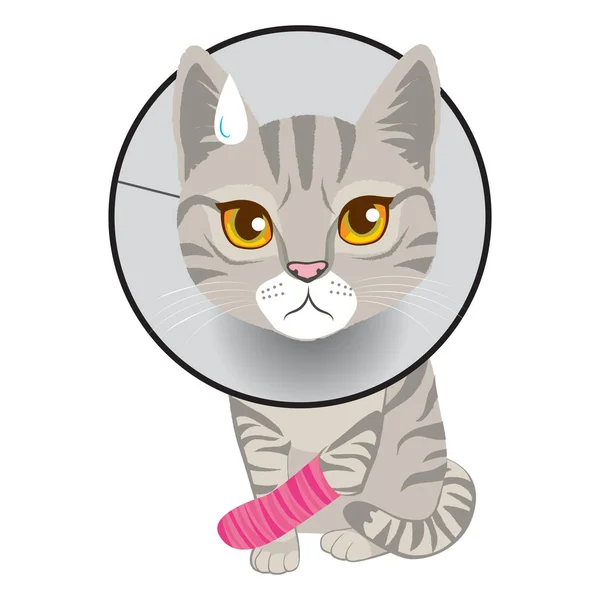 Cat Broken Leg — Stock Vector