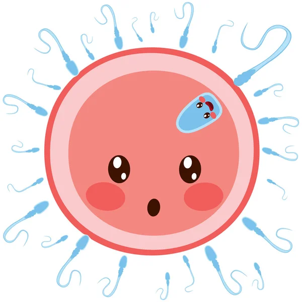 Yumurta Hücreli Döllenme Üzerine Sperm — Stok Vektör