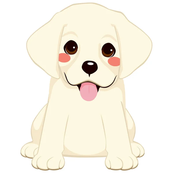 Cute White Labrador Golden Retriever Puppy Illustration — Stock Vector