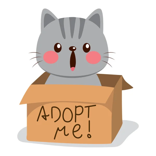 Roztomilá Kočička Kartonové Krabičce Adoptovaným Textem — Stockový vektor