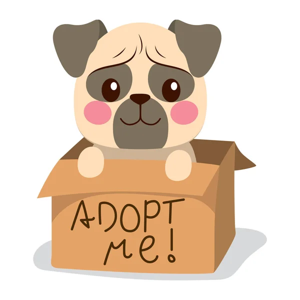Cute Little Pug Dog Cardboard Box Adopt Text — Stock Vector