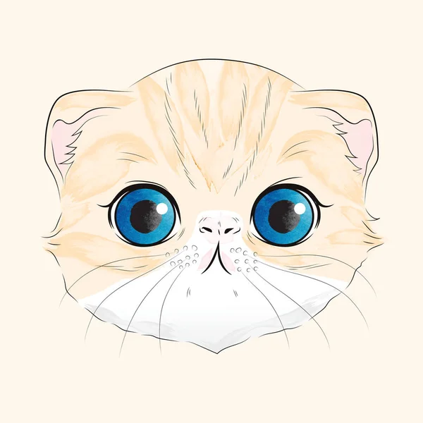 Watercolor Illustration Sweet Orange Scottish Fold Cat Head Blue Eyes — Stock Vector
