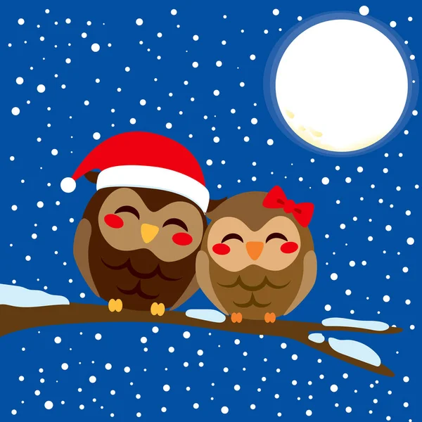 愛のかわいいフクロウカップルは満月の背景とクリスマスの雪の夜の木の枝に一緒にパーチ — ストックベクタ