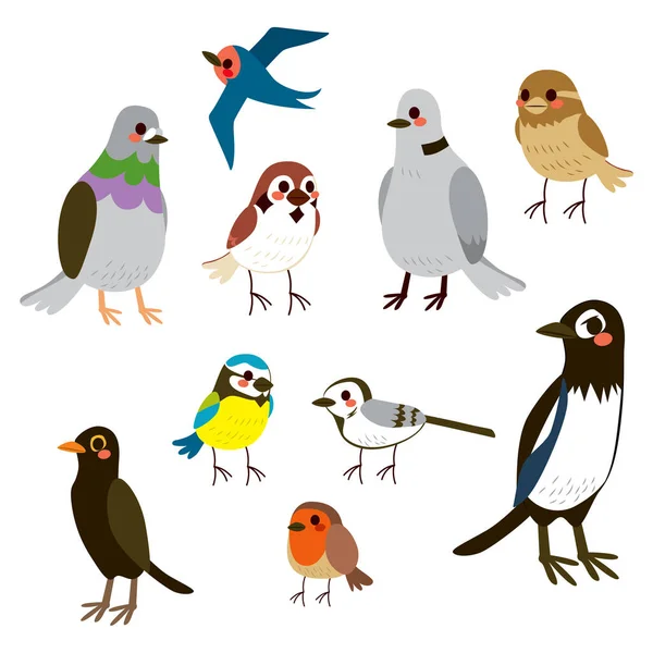 Cute Zestaw Kolekcji Ptaków Płaskim Stylu Kolorów — Wektor stockowy