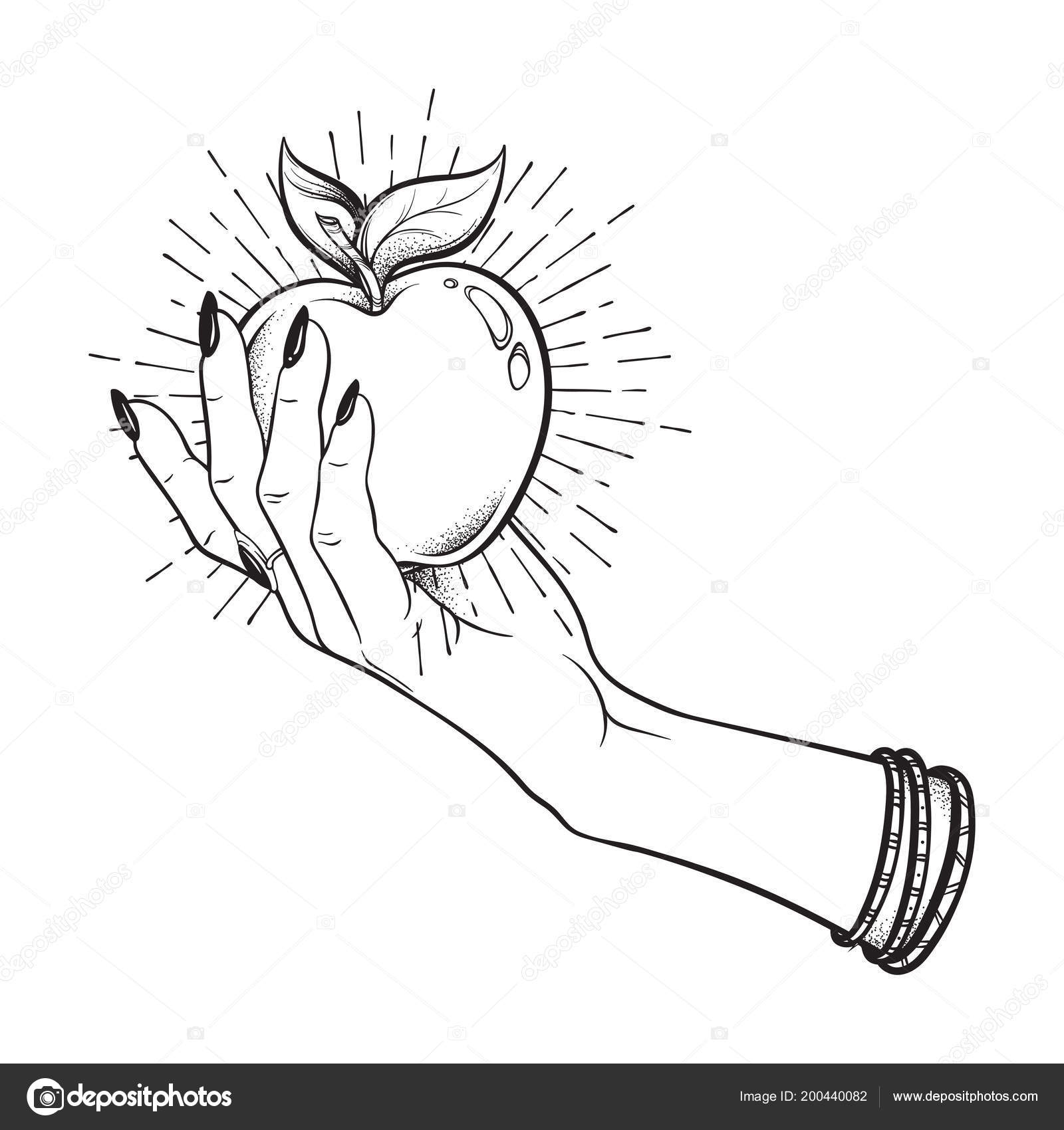 Рука с яблоком эскиз