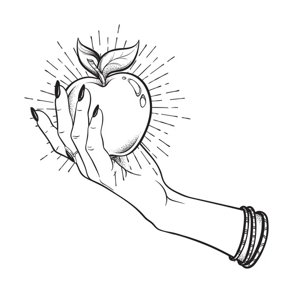 Apfel Weiblicher Hand Isoliert Handgezeichnete Linienkunst Und Punktarbeit Vektor Illustration — Stockvektor