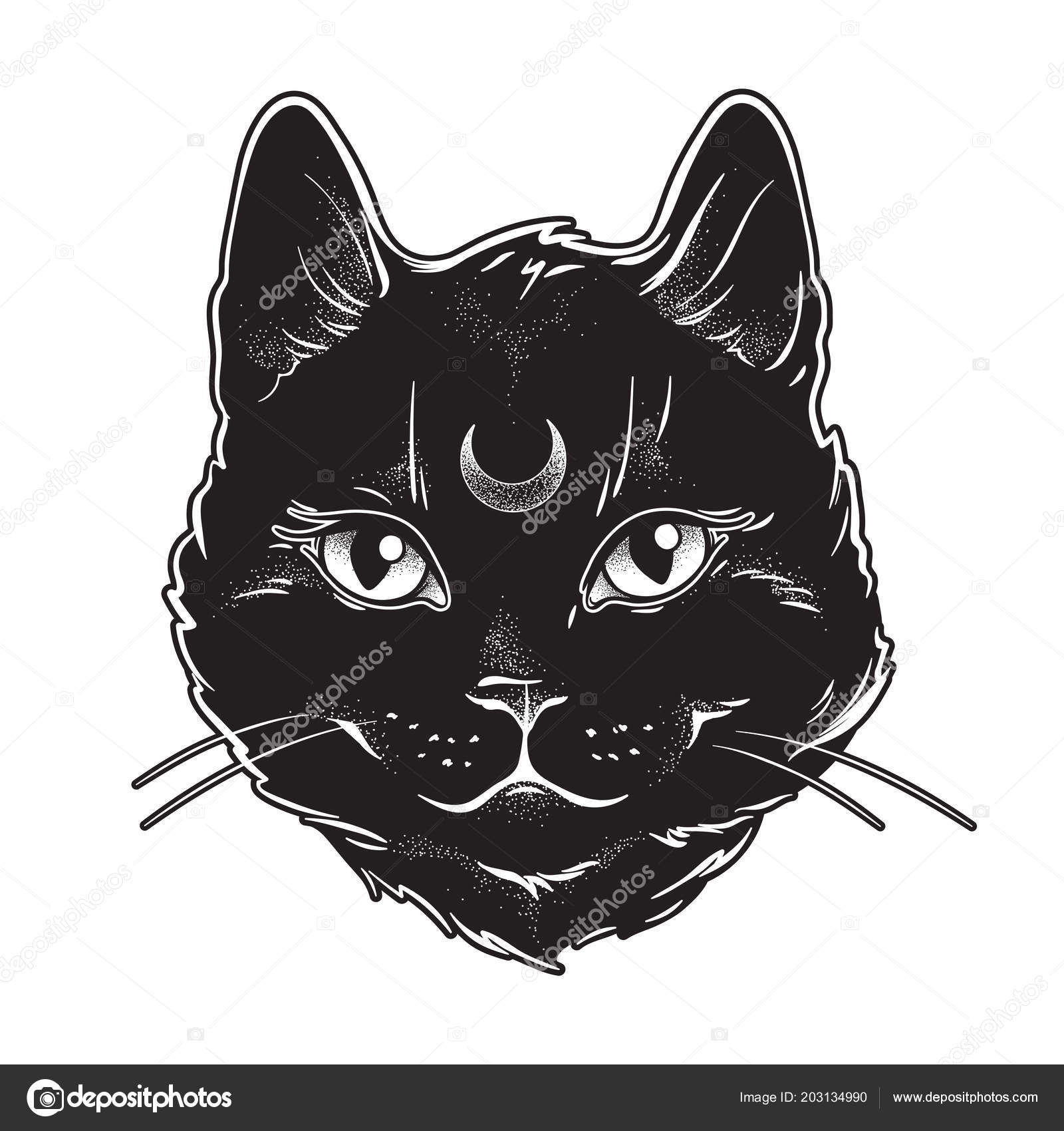 Black cat with moon on forehead | Cute Black Cat Moon His Forehead Line