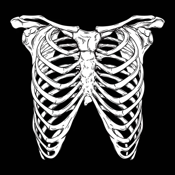 Linha desenhada à mão da caixa torácica humana arte anatomicamente correta. White over black background vector illustration (em inglês). Design de impressão para t-shirt ou traje de Halloween . — Vetor de Stock