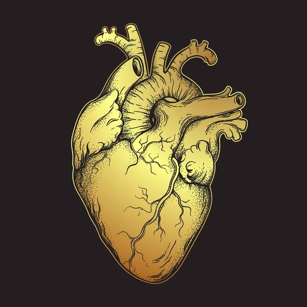 Corazón Humano Oro Arte Línea Dibujado Mano Anatómicamente Correcto Tatuaje — Vector de stock