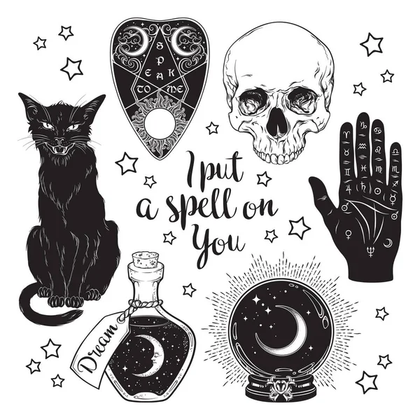 Zauberset Schrötlinge Totenkopf Palmistry Hand Kristallkugel Flasche Und Schwarze Katze — Stockvektor