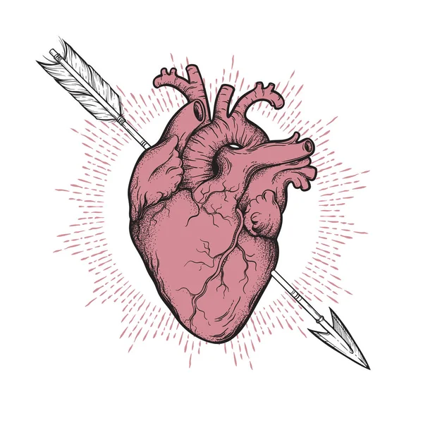 Coração Humano Perfurado Com Querubins Seta Mão Desenhada Arte Linha —  Vetores de Stock