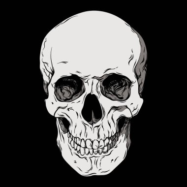 Anatomically correct human skull isolated. Hand drawn line art vector illustration clipart