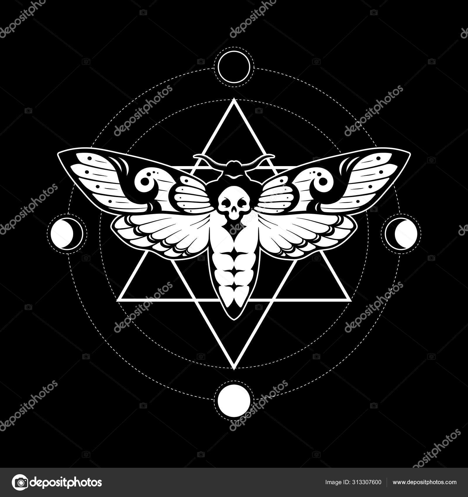 Deaths head hawk moth and sacred geometry with moon phases hand drawn line art print or tattoo design vector illustration. Stock Vector Image by ©Croisy #313307600 Deaths head hawk moth and sacred geometry with moon phases hand drawn line art print or tattoo design vector illustration. Stock Vector Image by ©Croisy #313307600