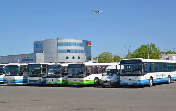 Kalinnigrad Rússia Maio 2018 Ônibus Passageiros Estão Praça Sobre Estação — Fotografia de Stock