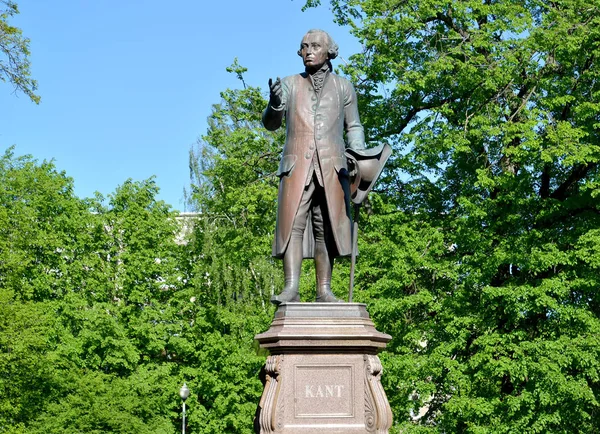 Denkmal Für Immanuel Kant Vor Dem Hintergrund Jungen Blattes Kaliningrad — Stockfoto