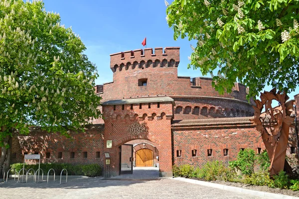 Kaliningrad Rússia Maio 2018 Uma Vista Museu Amber Uma Torre — Fotografia de Stock