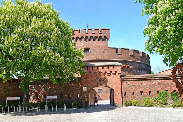 Kalininingrad Rusia Mayo 2018 Una Vista Del Museo Del Ámbar — Foto de Stock