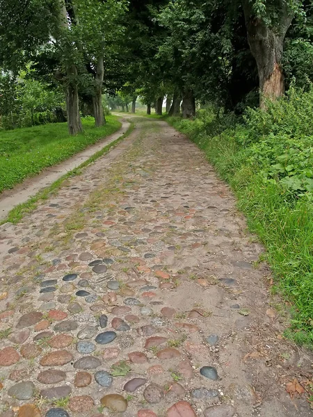 Old German Road Primorsk Kaliningrad Region — Stock Photo, Image