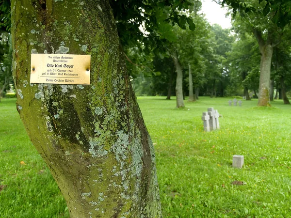 Primorsk Rússia Agosto 2012 Chapa Sobre Enterro Tronco Árvore Cemitério — Fotografia de Stock