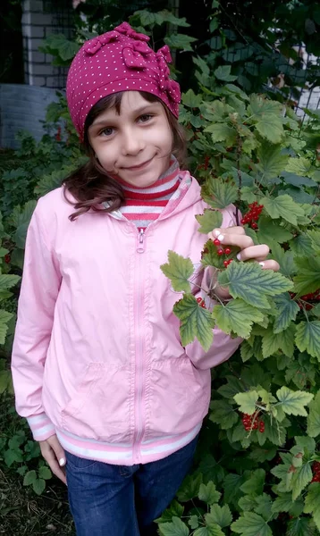 Girl Holds Hand Branch Berries Red Currant — Stock Photo, Image